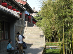 Bambus im Sommerpalast in Peking, China