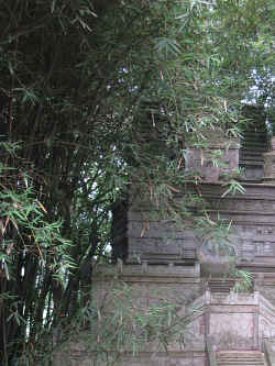 bambus-mit-pagode