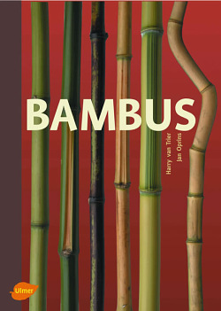 Bambus von Harry van Trier und Jan Oprins
